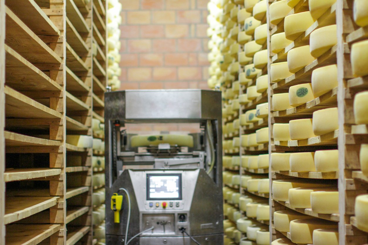 Modern-traditional-cheese-making-with-high-tech-robot-assisting