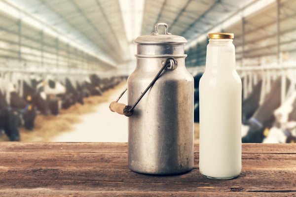 Fresh-milk-bottle-and-can-on-the-table-in-cowshed