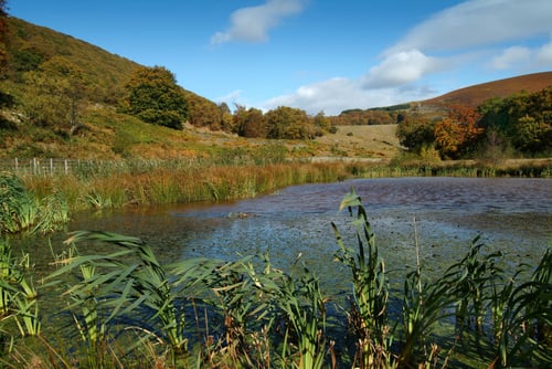 Cwmtillery-reservoir