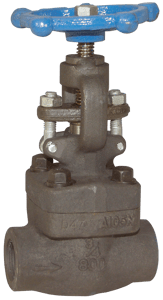 globe valve_forged steel