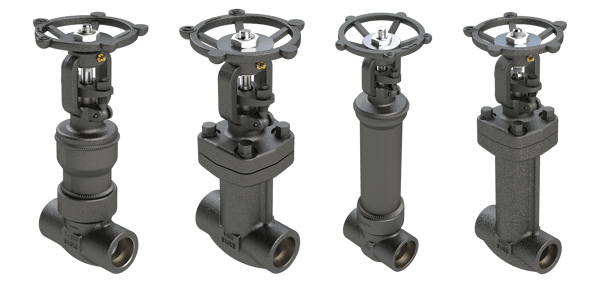 Dixon forged bellows sealed valves
