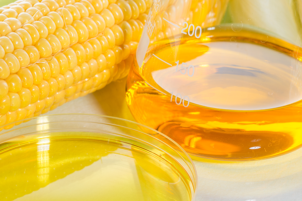 Ear of corn next to bio fuel or corn syrup