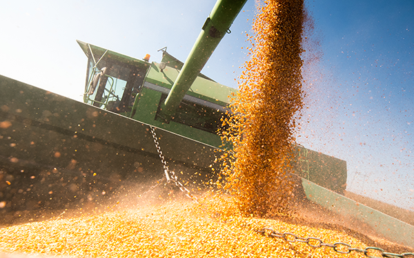 Combine harvesting corn and loading a wagon in the field