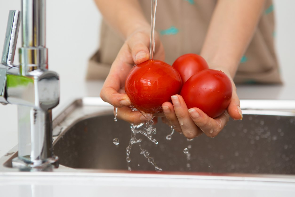 Closeup of Woman Hands Washing Tomatoes
