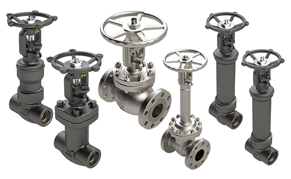Dixon bellows sealed valves